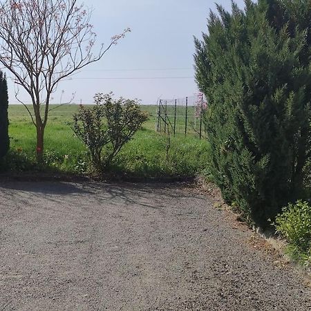 הוילה Saint-Seurin-de-Palenne Gite La Metairie, Au Calme A La Campagne מראה חיצוני תמונה